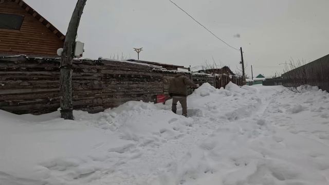 ПЕРВОЕ ЗНАКОМСТВО(?) ОТВЕТ О ПЕРЕЕЗДЕ#ТЕПЛИЦЫ Больше НЕТ твердо!!! смотреть онлайн
