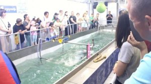 Нерпинарий города Иркутска