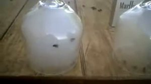 Что вреднее? Электронная сигарета или аналоговая?