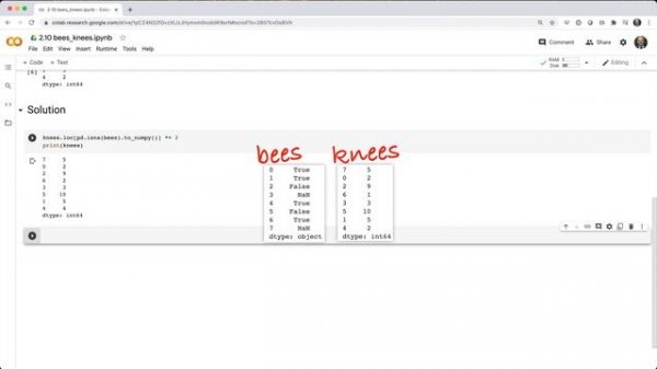 Python Pandas For Your Grandpa - 2.10 Challenge: Bees Knees