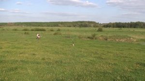 Испытание двигателей для моделей ракет