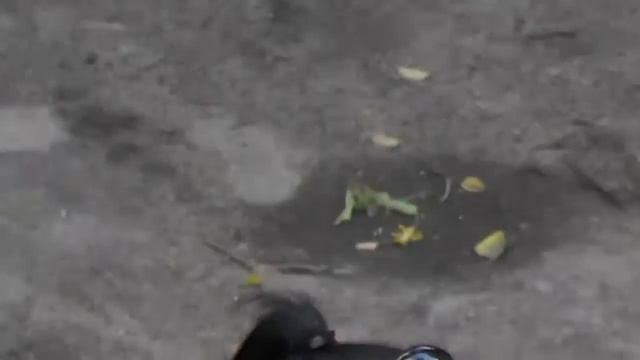 Panasonic HC V710 тестовое видео х50 зумi Zoom пасмурно смотреть онлайн