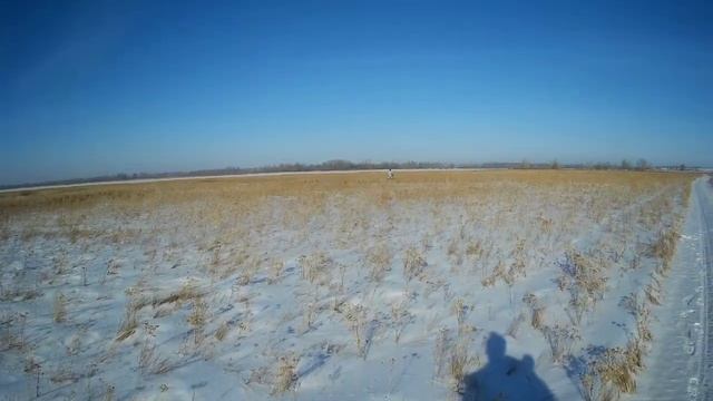 Охота на зайца 2022.На трёх лапах и от собаки, и от нас ушёл.... смотреть онлайн
