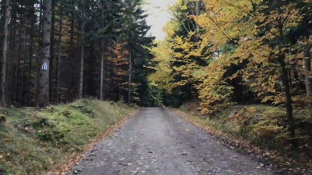 Polska. small sketches, nature views смотреть онлайн