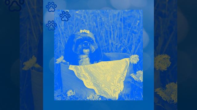 Музыка (Спящие собаки) смотреть онлайн