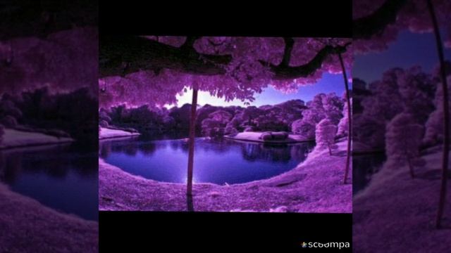 ?превосходная песня?просто супер❤слушать всем❤ смотреть онлайн