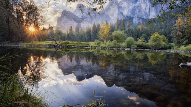 Истории из жизни Свекровь выгребает продукты из нашего холодильника Жизненные истории рассказы смотреть онлайн