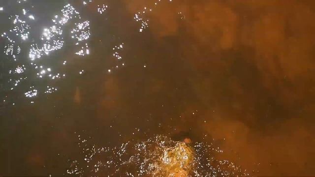 Звук плескания воды АСМР смотреть онлайн