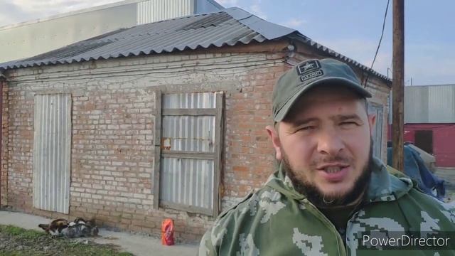 Корм для кошек Besar.