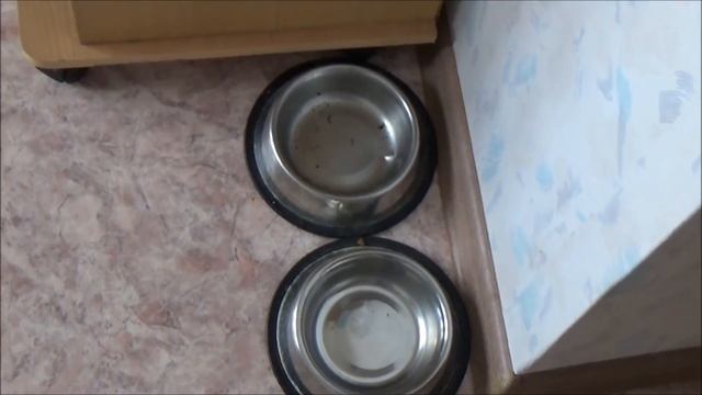 татуаж бровей 6D /огород бабулек/заниженый таз смотреть онлайн