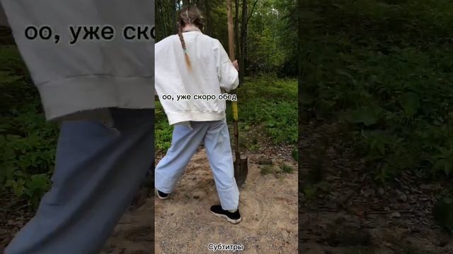 Анастейшин