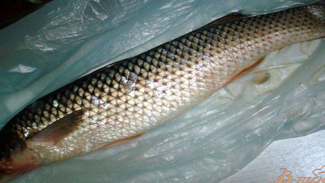 Книга рецептов