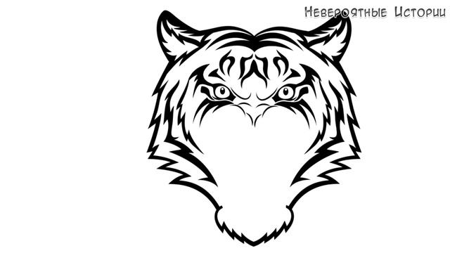 7 фактов о Голубом тигре! Каким будет 2022 год и чего ждать от его символа? смотреть онлайн