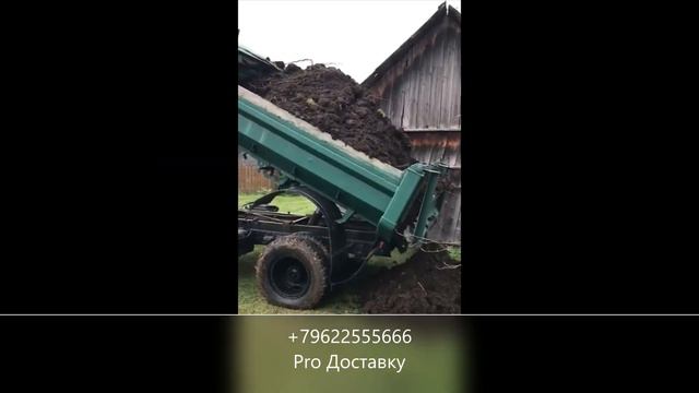 Купить Перегной и навоз в Калининграде смотреть онлайн