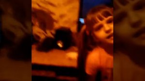 2 девочки и 2 мальчика