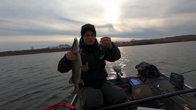 Щука на крупную вертушку. В мутной воде работает "кислота". Поймал-отпусти смотреть онлайн