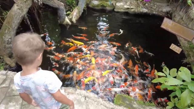 Пойдем налево,пойдем направо.Даня Люба и рыбы. Летаем на дроне над островом ОРХИДЕЙ. Нячанг. Вьетна смотреть онлайн