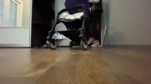 Прогулка с Лиамом и Есенией День с 2 реборнами 2 часть