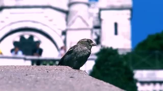 Alex Stuart - Around смотреть онлайн
