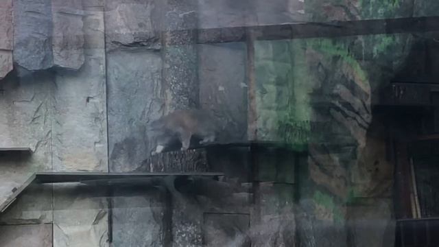 17 мая 2023 г. смотреть онлайн