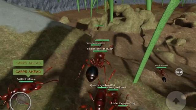 Epic ant war in roblox ant life [beta testing] смотреть онлайн