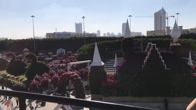Дубай парк огромный самолёт из цветов,медведь гигант.Dubai Miracle Garden,huge airplane flowers смотреть онлайн