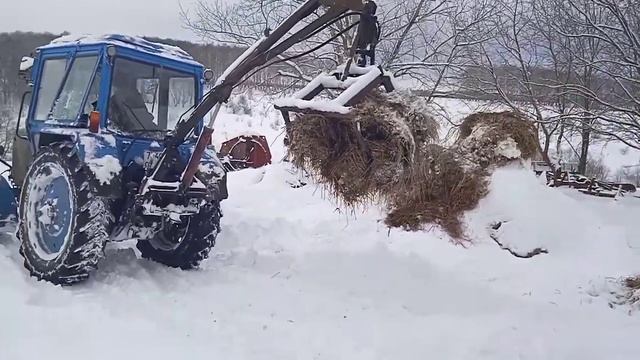 Отбрасывание навоза на МТЗ-80 смотреть онлайн