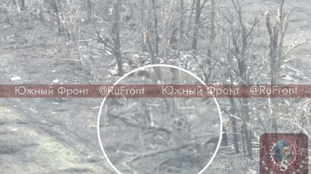 Русский боец с палкой vs хохлячий FPV-дрон. смотреть онлайн