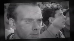 Журавли. Минус.