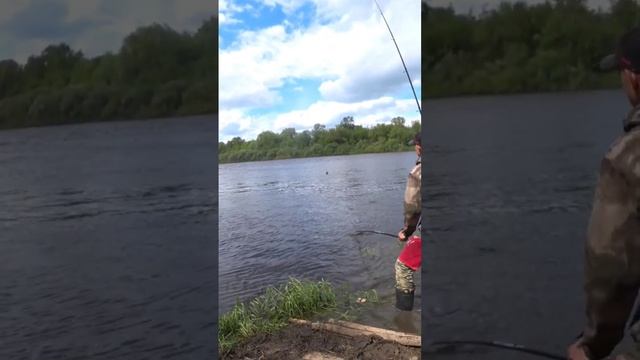 ВЕСНА ПРИШЛА, РЫБА ПРОСНУЛАСЬ #fish #fishing #рыбалка #лещ #лещнафидер #рек смотреть онлайн