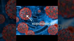 Самые Опасные Вирусы для Человека | Под Микроскопом