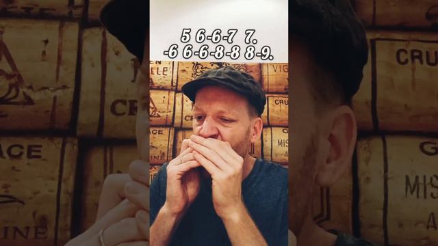 The Maids Of Mitchelstown (Reel) - Harmonica (+Tabs) смотреть онлайн