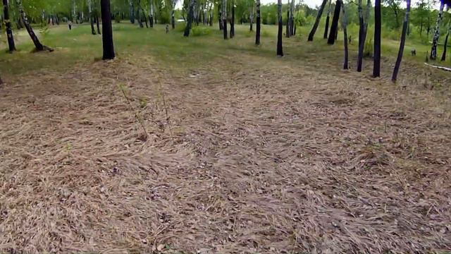 Mjx bugs 3 mini drone. смотреть онлайн