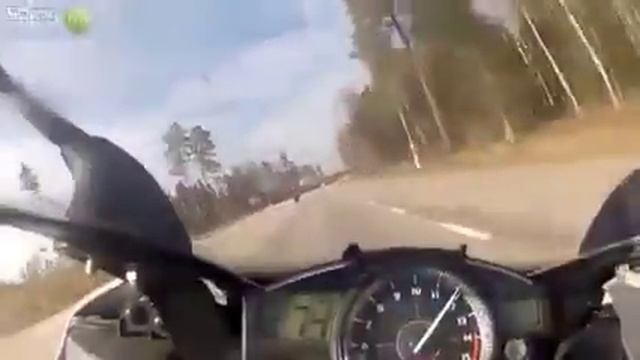 Байкер в лёгком недоумении!!! Как?! смотреть онлайн