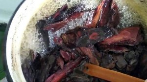 Грунт для хищных растений.Венерина Мухоловка.Саррацения.Непентес.Росянка.Жирянка.