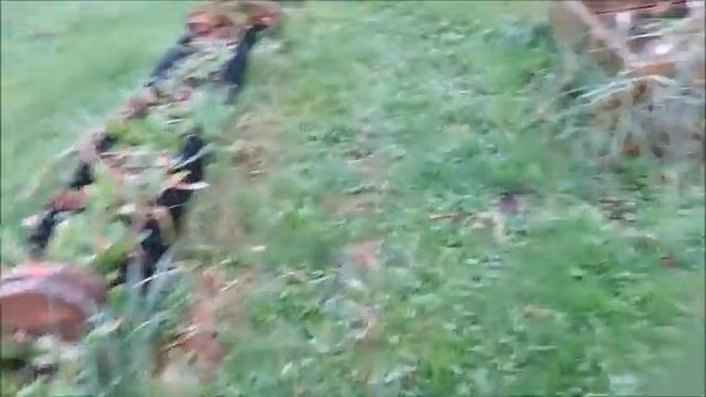 Собираем урожай!!! смотреть онлайн