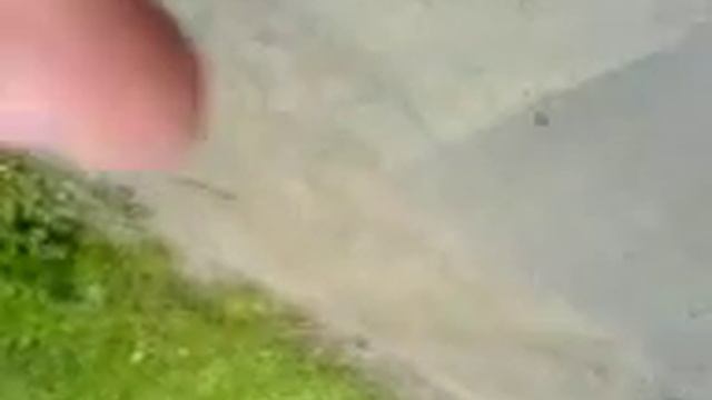 Міліція сіла за мотоблок смотреть онлайн