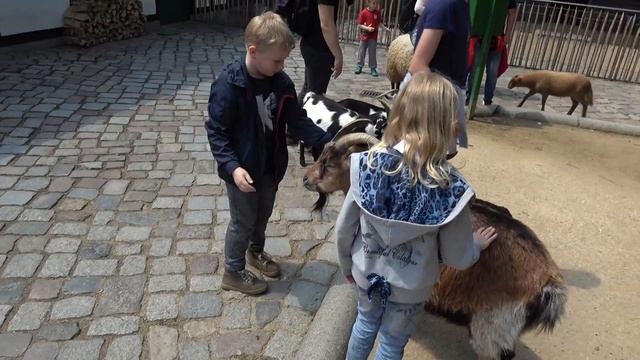 2017 Берлин, Германия, зоопарк 1-я часть. смотреть онлайн