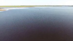 Палочка, Томская область. р. Алсет 2021