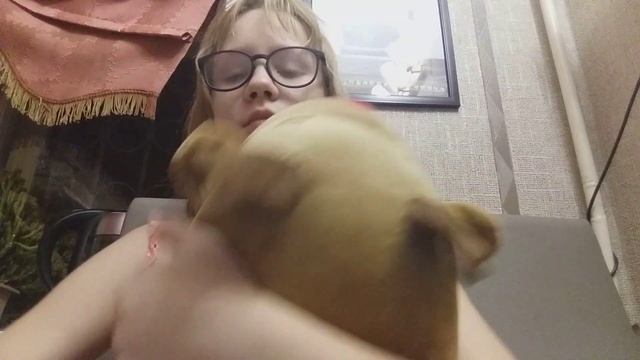 Мягкоя игрушка лось.Обзор смотреть онлайн