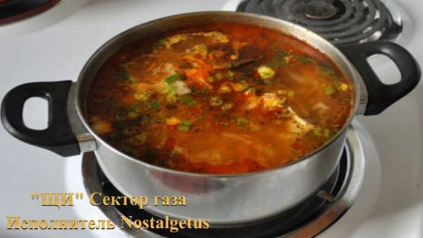 "ЩИ" Сектор газа исполнитель Nostalgetus