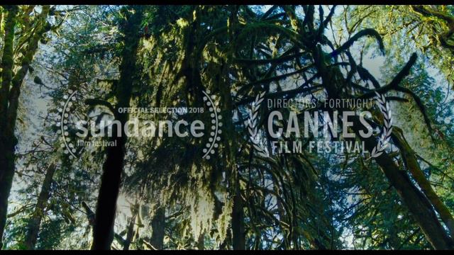 LEAVE NO TRACE Official Trailer (2018) Ben Foster Movie HD смотреть онлайн
