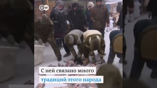 Самый холодный рынок смотреть онлайн