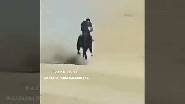 Самая быстрая лошадь?#horse #лошодь смотреть онлайн