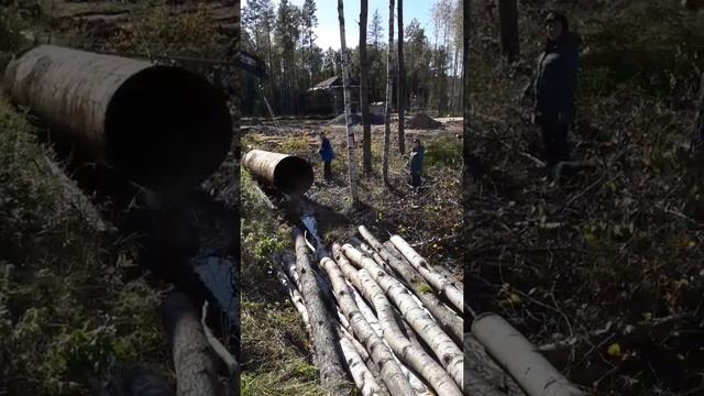 Труба в канаву смотреть онлайн