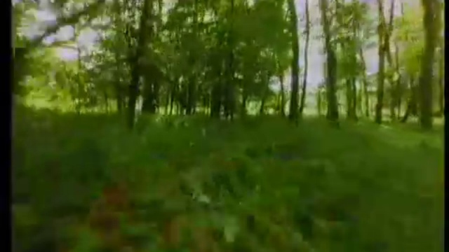 ERASURE LAY ALL YOUR LOVE ON ME смотреть онлайн