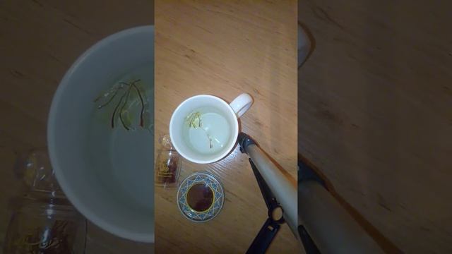 Шафран чай смотреть онлайн