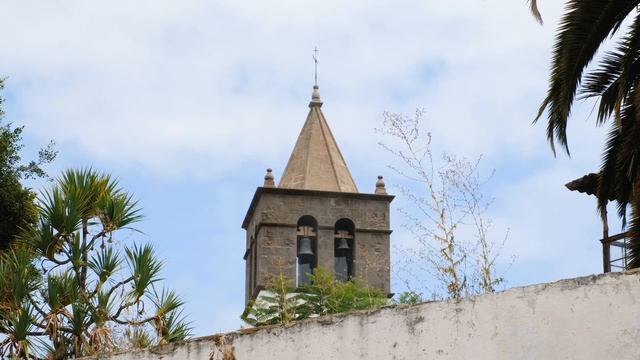 Icod de los Vinos - Historic city and Dragon tree in Tenerife - 4K смотреть онлайн