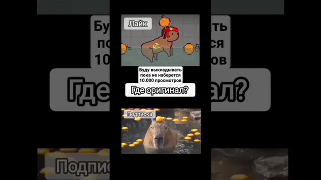 капибара #рекомендации #мемы #смех #прикол #capybara смотреть онлайн