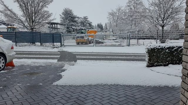 Утренняя зарядка/заготовки #влог #жизньвгермании #моибудни #готовимдома